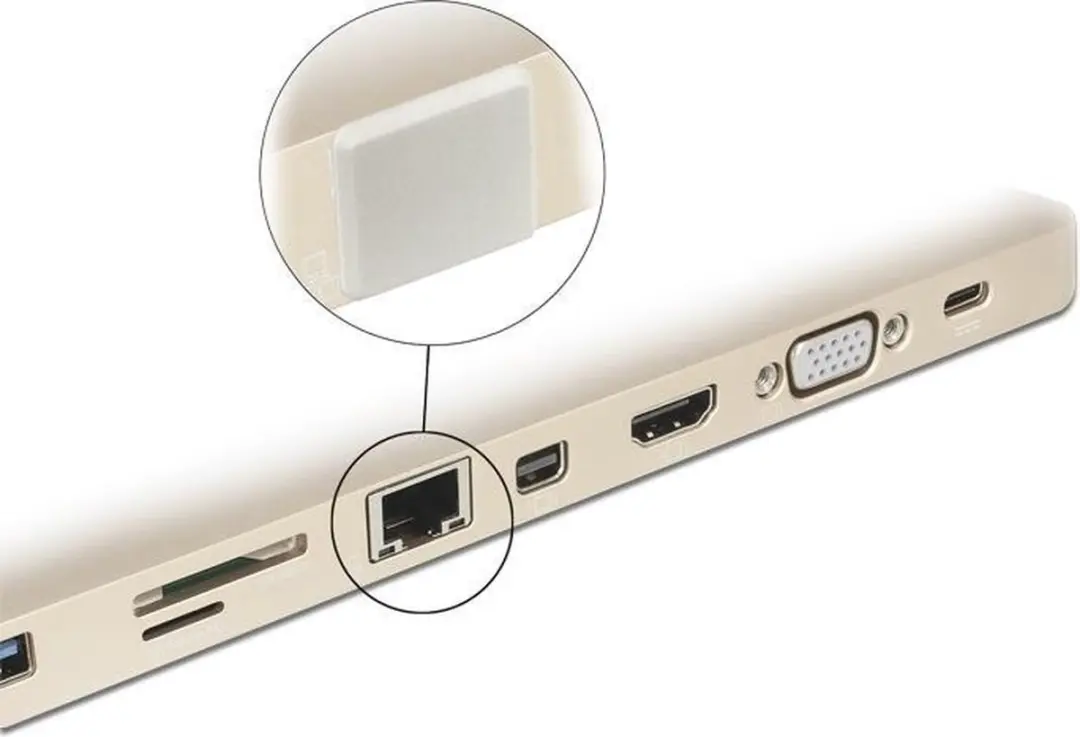 Delock RJ45 Afsluitdoppen 10 Stuks - Wit