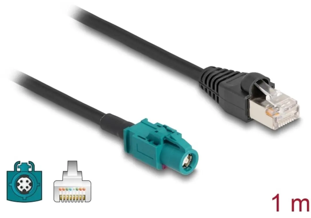 Delock HSD Vrouwelijk naar RJ45 Kabel 1m