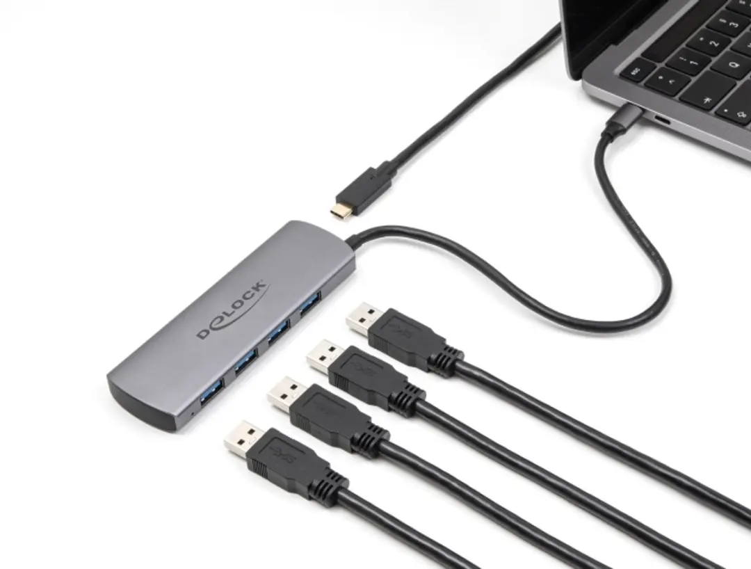 Delock USB 10Gbps 4-Port Hub - Grijs