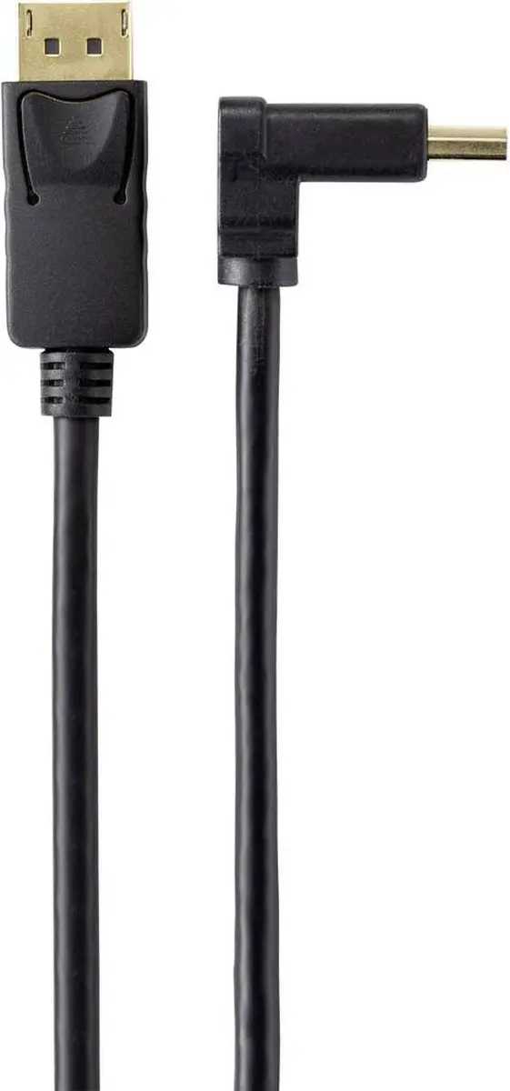 Renkforce SP-9163724 DisplayPort-kabel 0,5m - Zwart