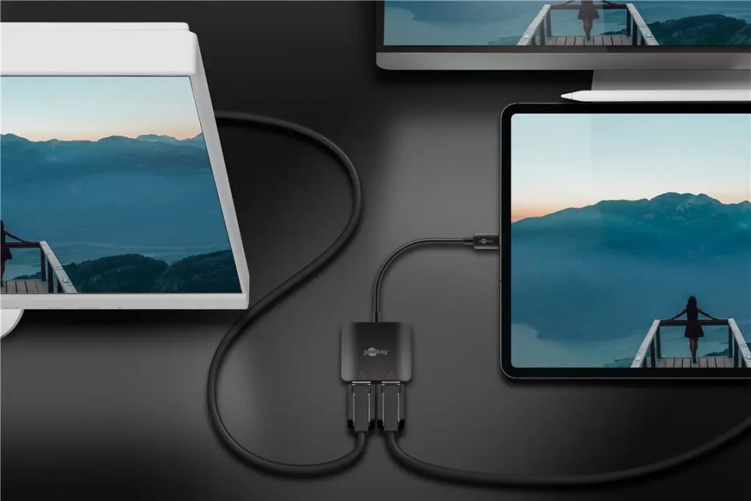 Goobay USB-C naar 2x DisplayPort 4K Adapter 60Hz - 0,15m - 10 Stuks