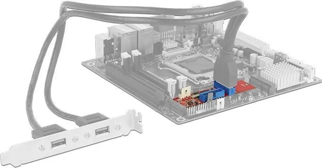Delock M.2 Key B+M naar 2x USB 5Gbps Pin Header - Zwart