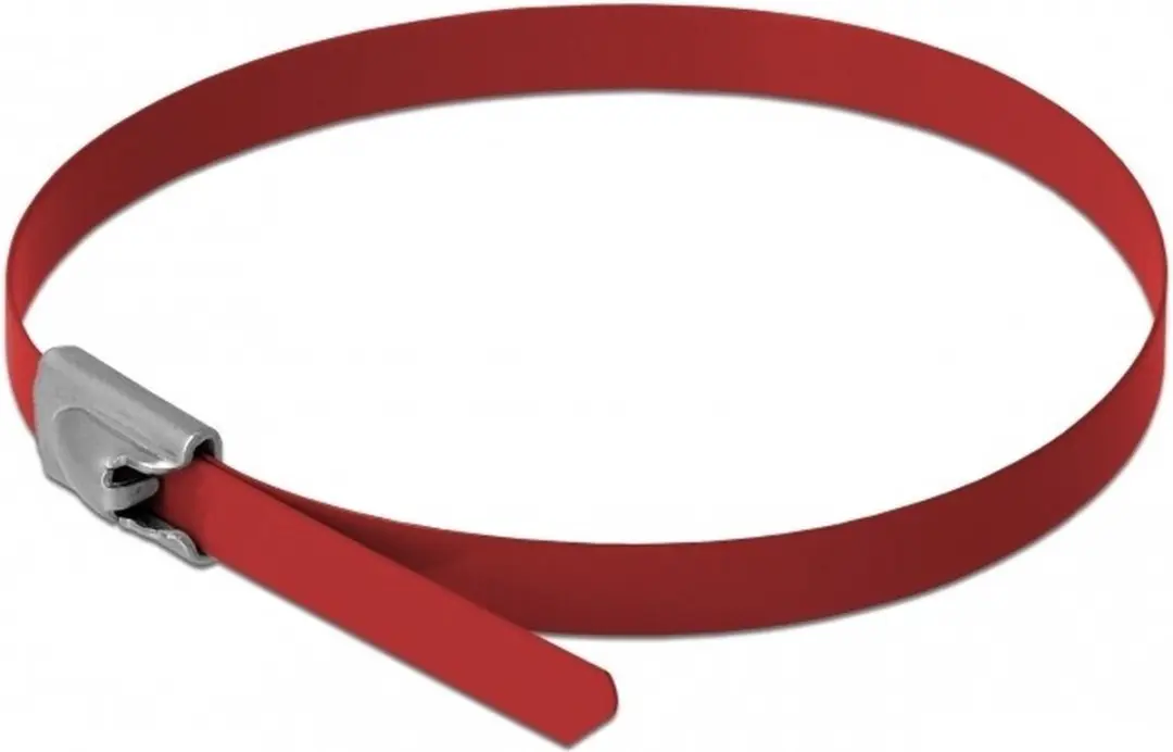 Delock Roestvrijstalen Kabelbinders 300x4.6mm - Rood - 10 Stuks