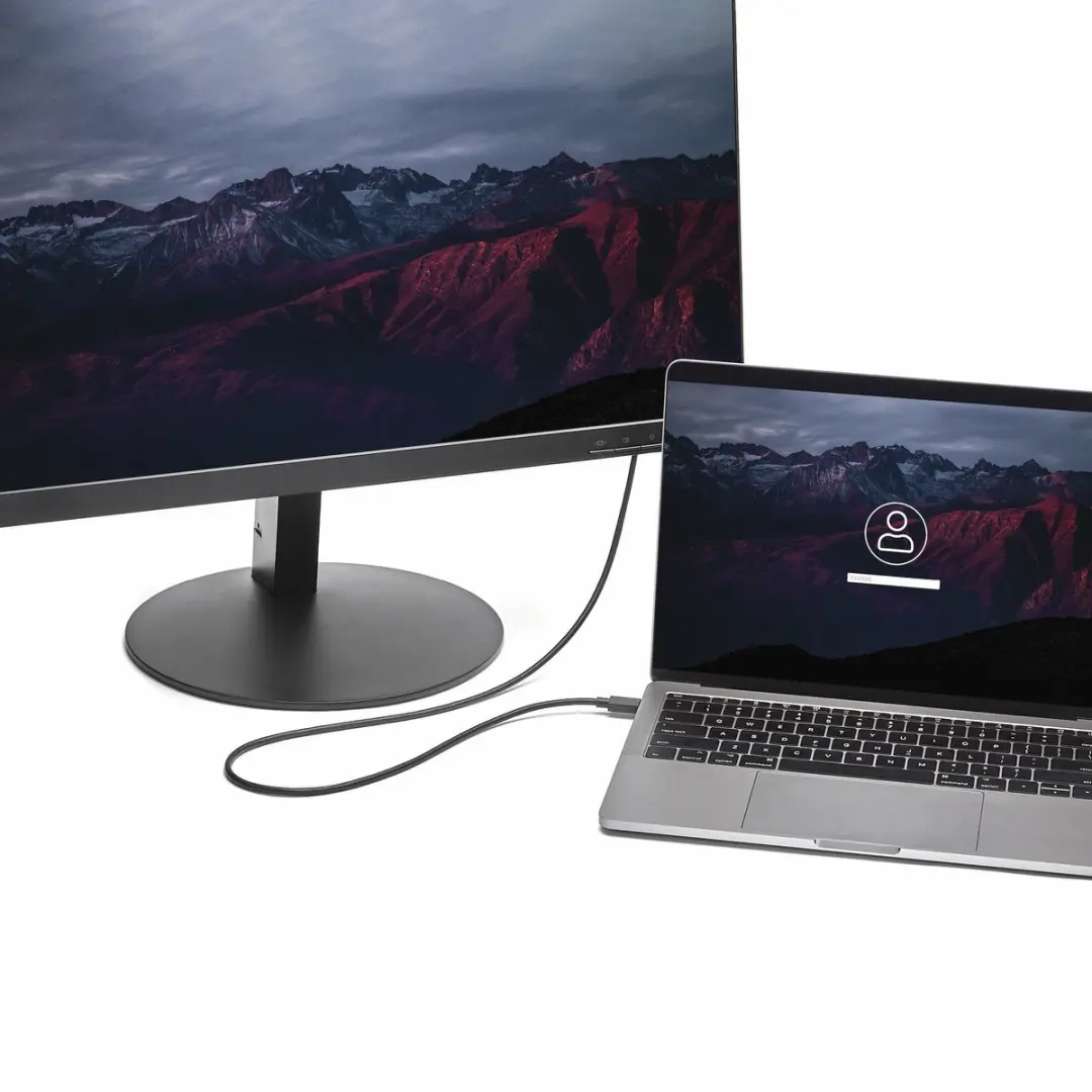 Startech USB-C naar DisplayPort Adapterkabel 1,8m