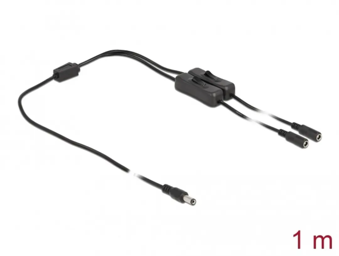 Delock DC 5.5x2.1mm Male naar 2x DC Vrouw Kabel