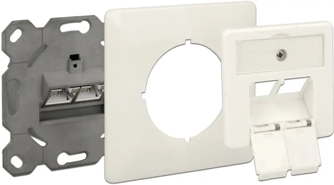 Delock Modular Wanduitlaat 2 Port Cat.6A LSA - Wit