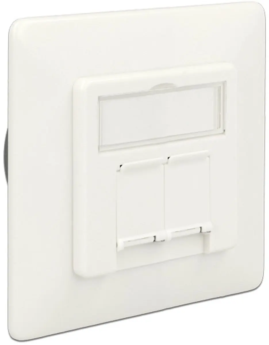 Delock Modular Wanduitlaat 2 Port Cat.6A LSA