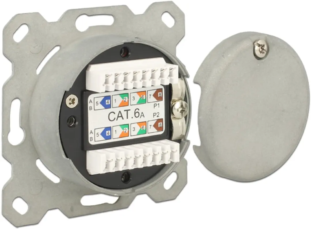 Delock Modular Wanduitlaat 2 Port Cat.6A LSA - Wit