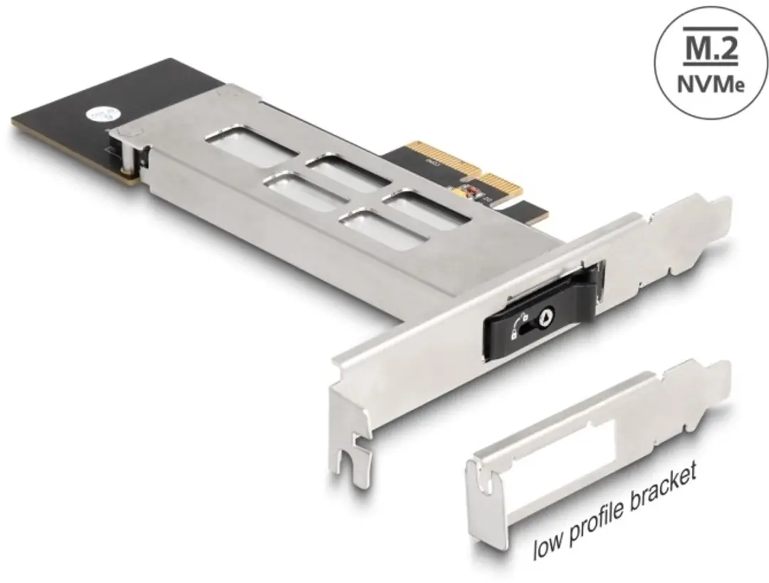 Delock Mobile Rack PCIe 1x M.2 NVMe