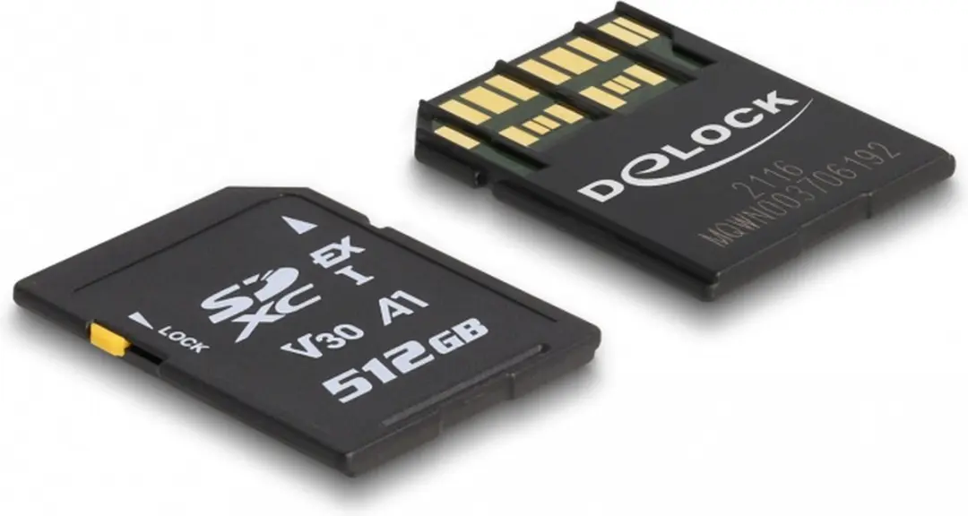 Delock SD Express Geheugenkaart 512GB - Zwart