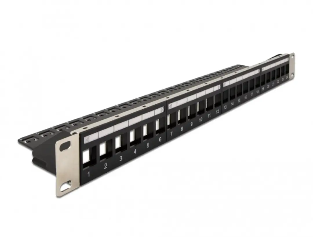 Delock 19" Keystone Patch Panel 24 Poorten