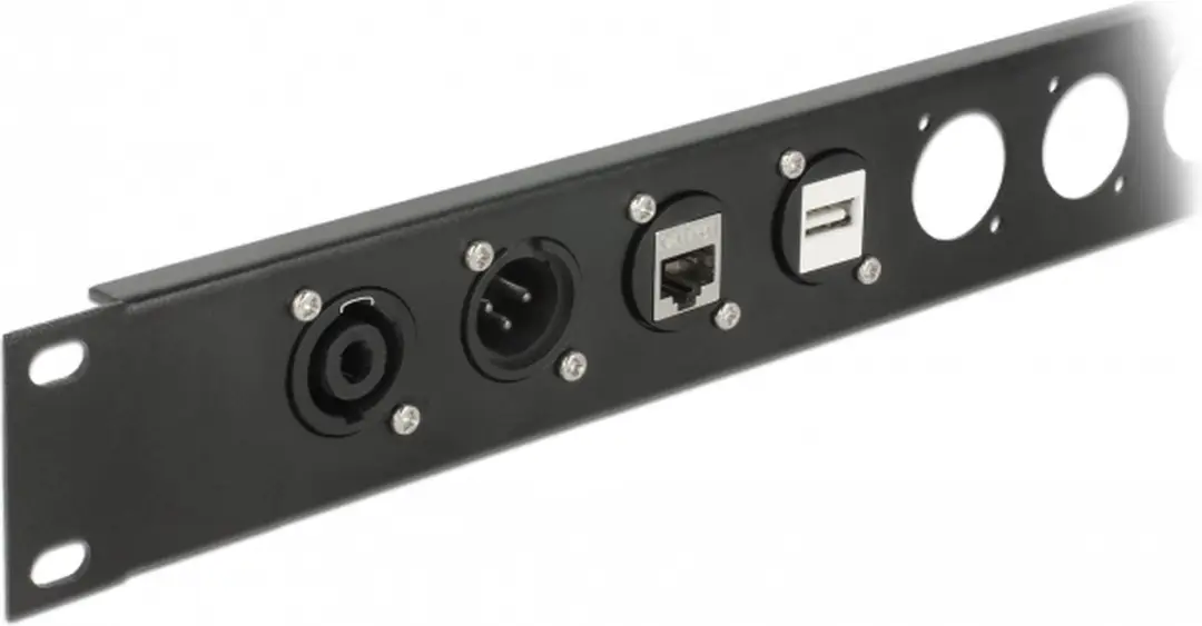 Delock USB-A D-Type Module USB2.0 - Zwart