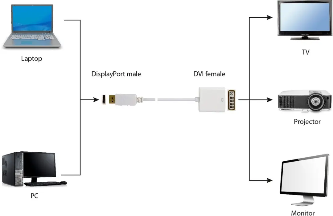 Gembird CablExpert DisplayPort naar DVI Adapterkabel - Wit