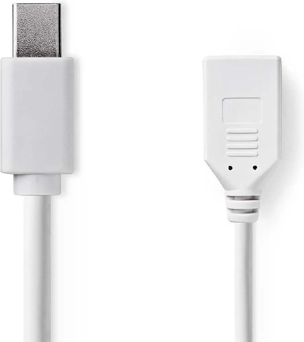 Nedis Mini DisplayPort-Kabel CCGB37450WT02 - 0,2m - Wit