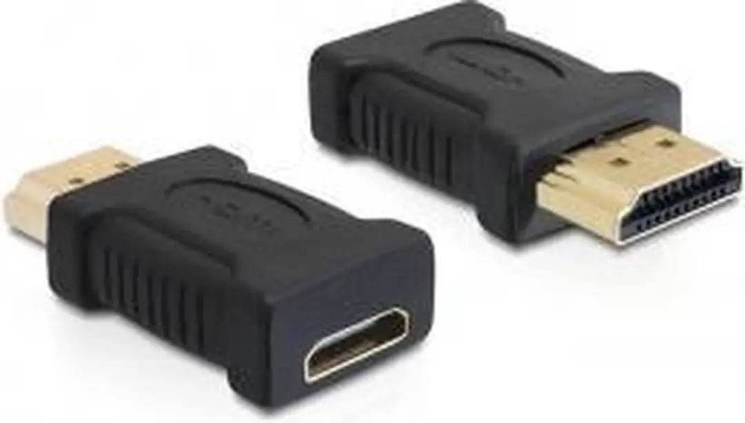 Delock HDMI-A naar C Adapter