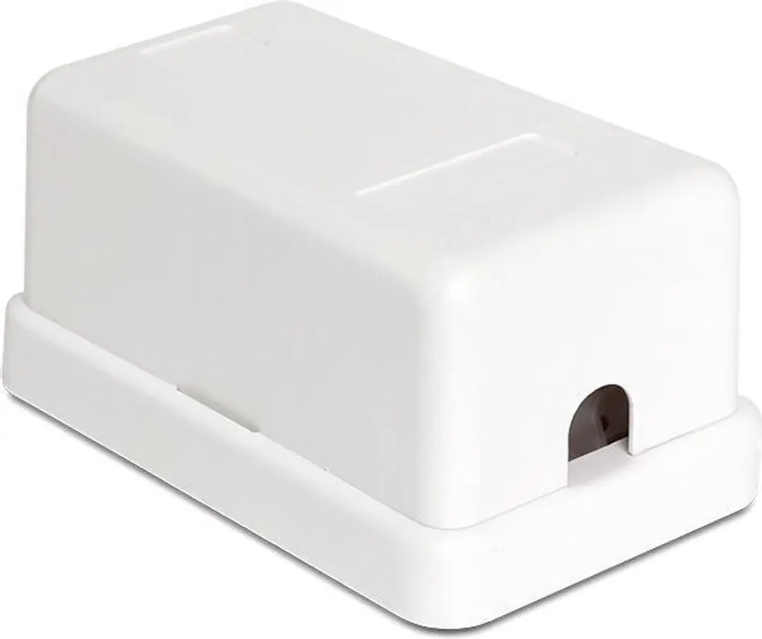 Delock Uitvoerdoos 1 Keystone Module - Wit