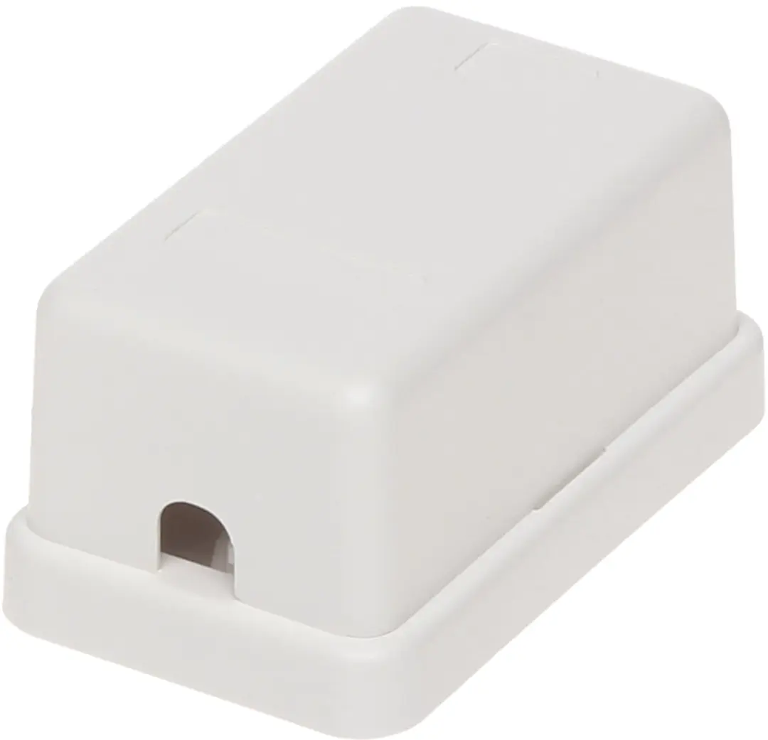 Delock Uitvoerdoos 1 Keystone Module - Wit