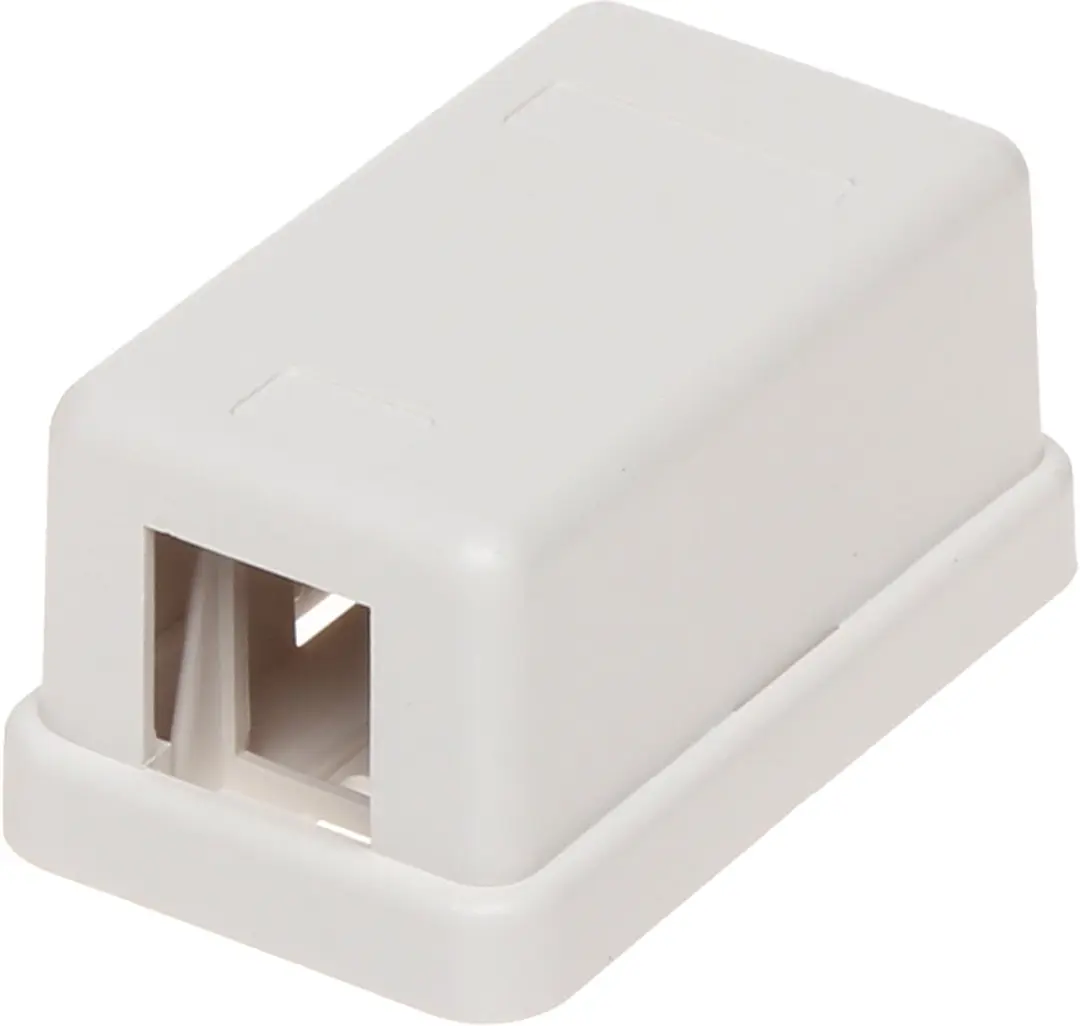 Delock Uitvoerdoos 1 Keystone Module