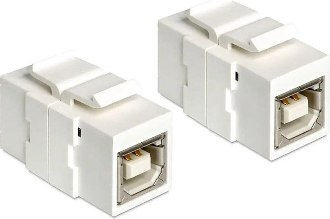 Delock Keystone USB 2.0 B Module - Wit