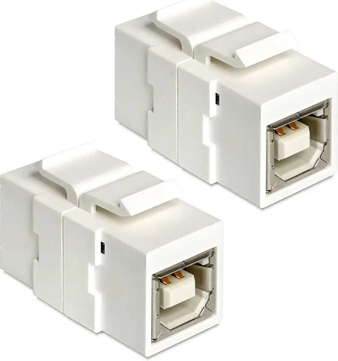 Delock Keystone USB 2.0 B Module