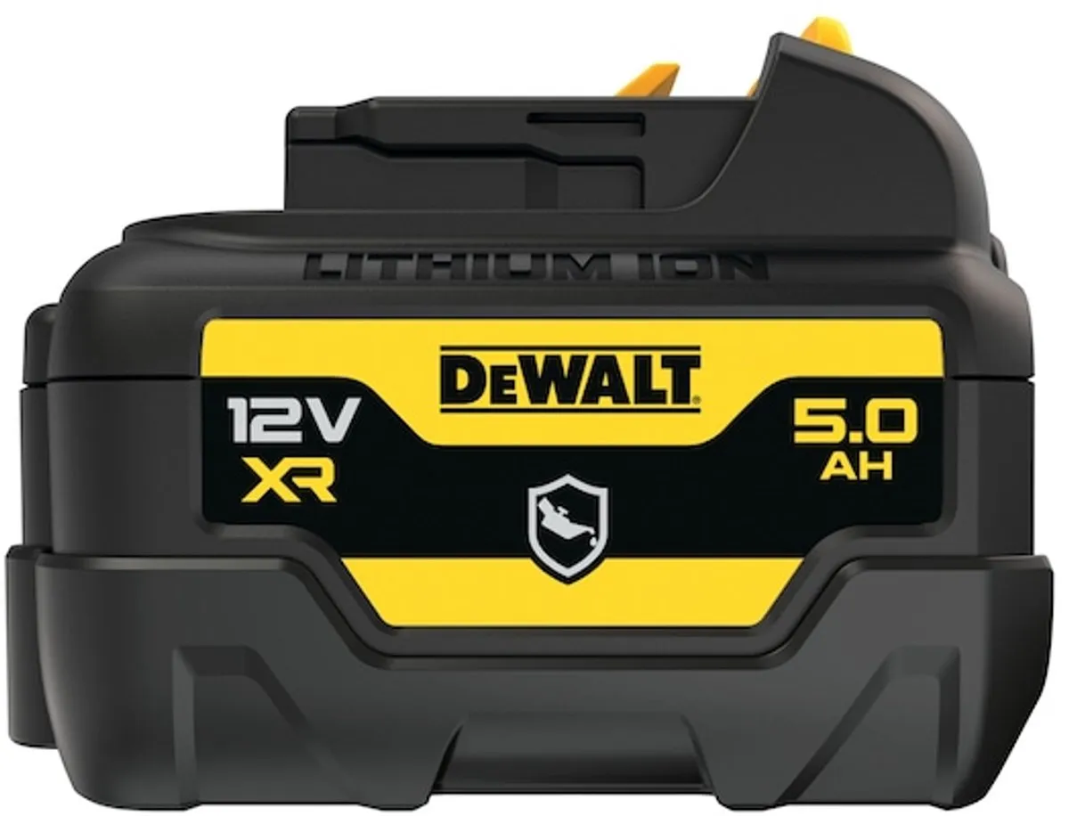 DeWalt DCB126G 12V XR Accu 5.0Ah - Olie- & Schokbestendig
