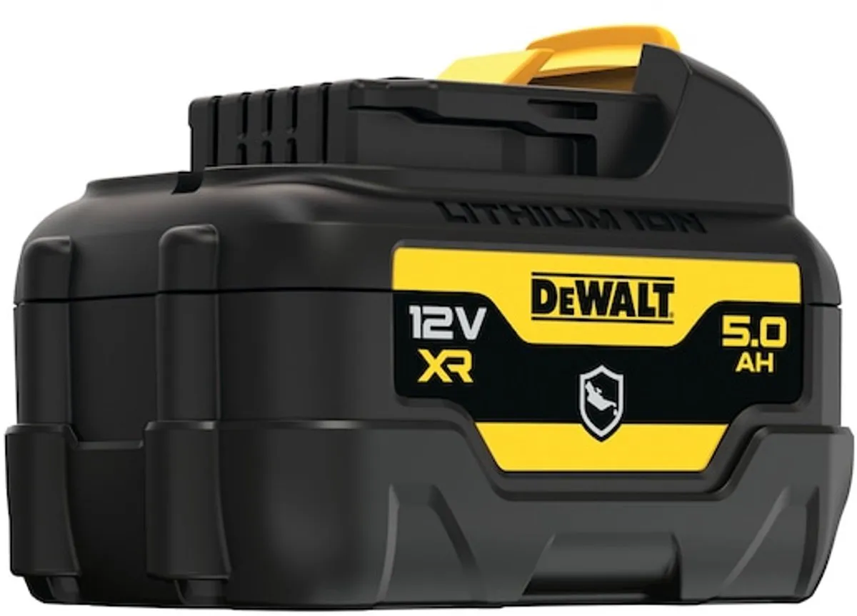 DeWalt DCB126G 12V XR Accu 5.0Ah - Olie- & Schokbestendig