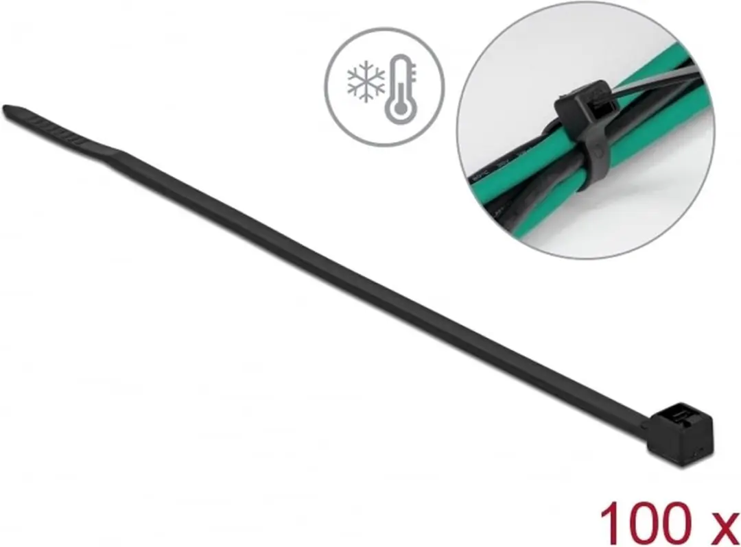 Delock Tie-wraps 100 Stuks - 2,5mm - Zwart