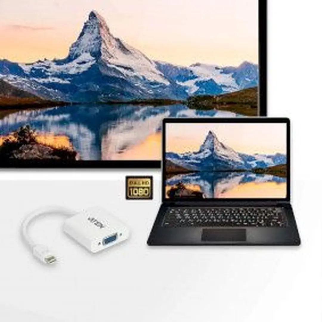 Aten VC920 Mini DisplayPort naar VGA Adapter - Wit