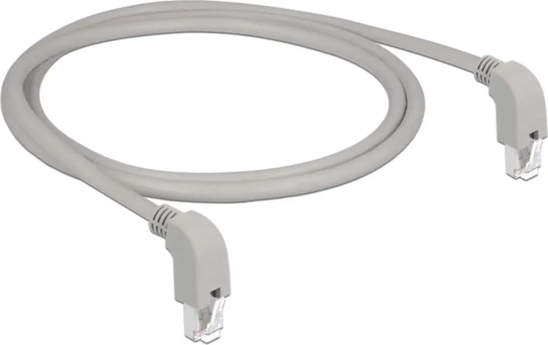 Delock S/FTP CAT6a Netwerkkabel 10Gbps - 1m - Grijs