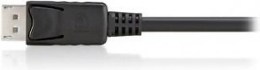 Equip DisplayPort Kabel 119331 - 1m - Zwart