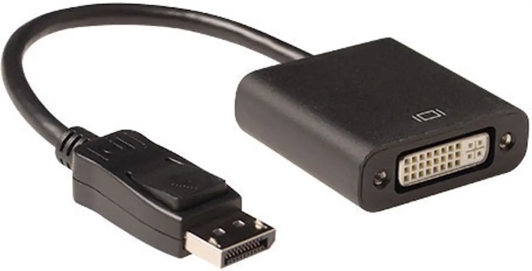 ACT 15cm DisplayPort naar DVI Kabel