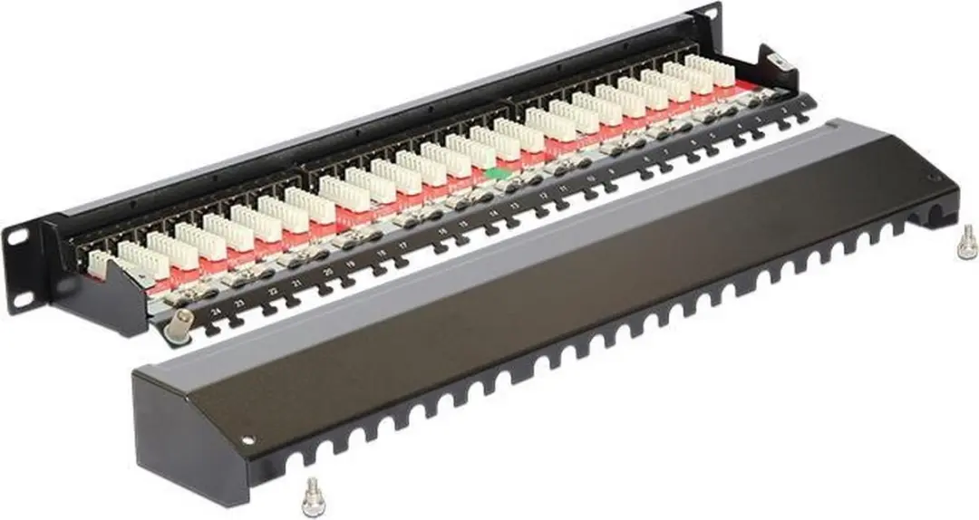 Delock CAT6a Patchpanel 24 Poorten - 1U - Zwart