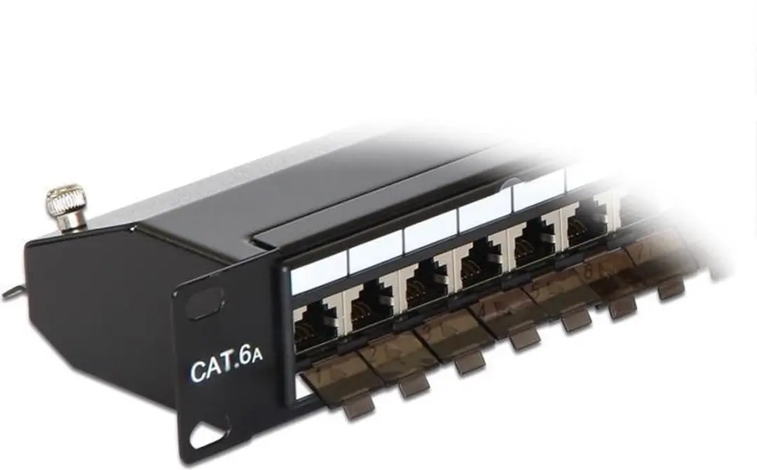 Delock CAT6a Patchpanel 24 Poorten - 1U - Zwart