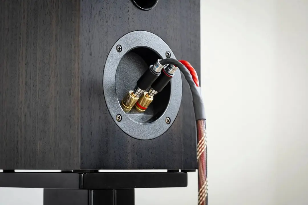 Pro-Ject Connect it Plug banana LS DS - 4 Stuks - Zwart - afbeelding 3 van 3