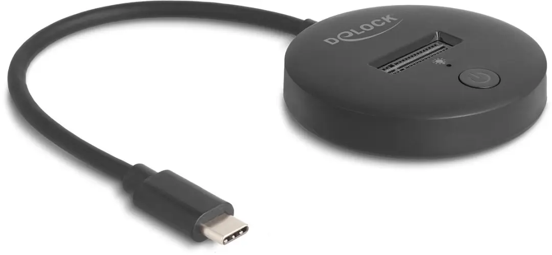 Delock M.2 Docking Station 64254