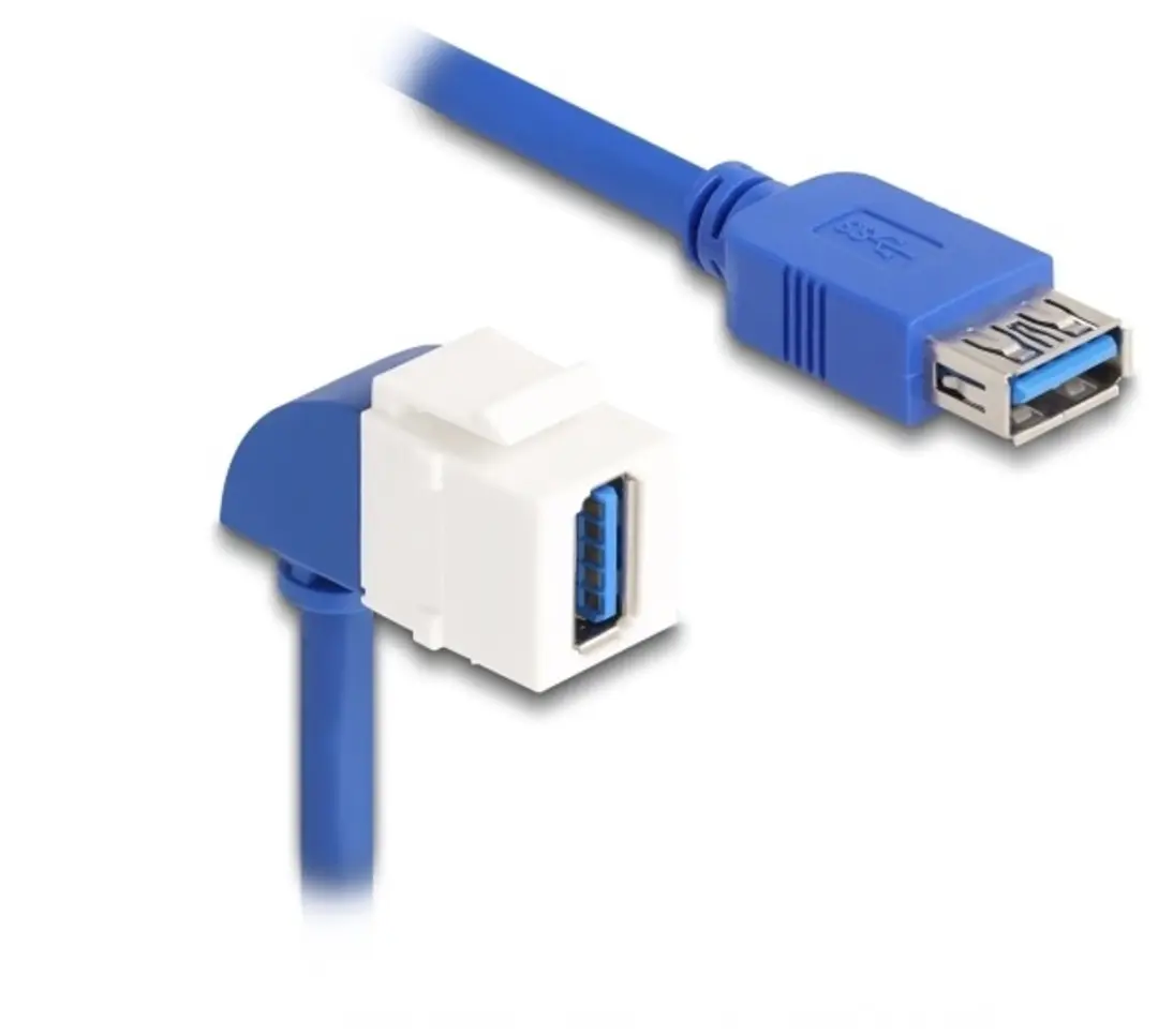 Delock USB-A Haaks Keystone Module 5Gbps