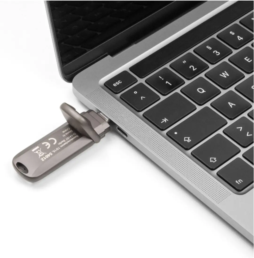 Delock 54012 USB-C Geheugenstick 256GB - 1980MB/s Grijs