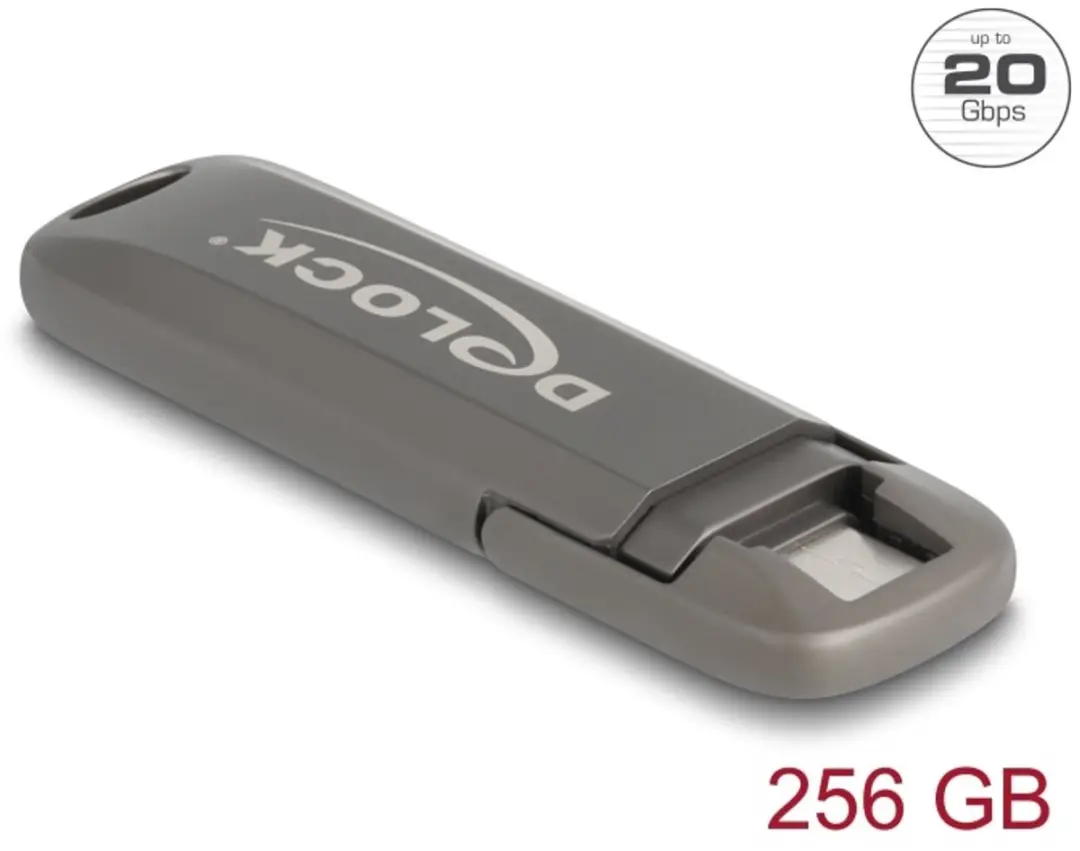 Delock 54012 USB-C Geheugenstick 256GB