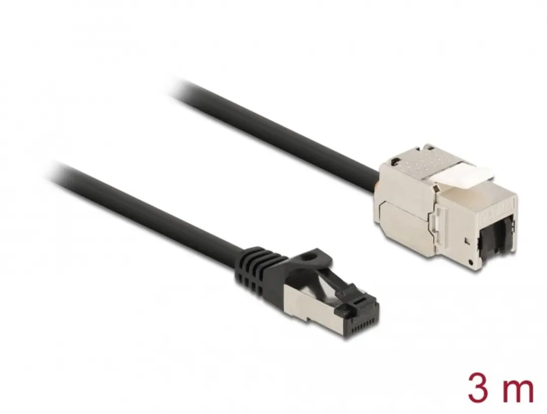 Delock RJ45 Kabel naar Keystone Module Cat.6A 3m