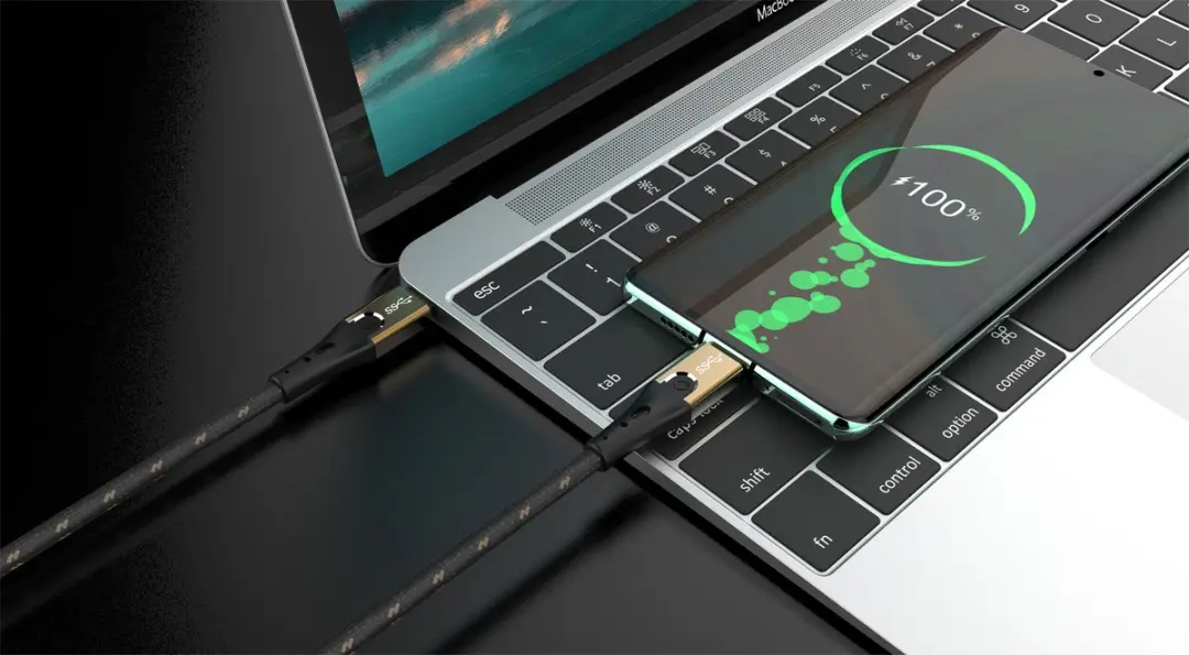 Oehlbach D1C9531 USB 3.2 Gen2 USB-C Kabel 1m - Zwart/goud