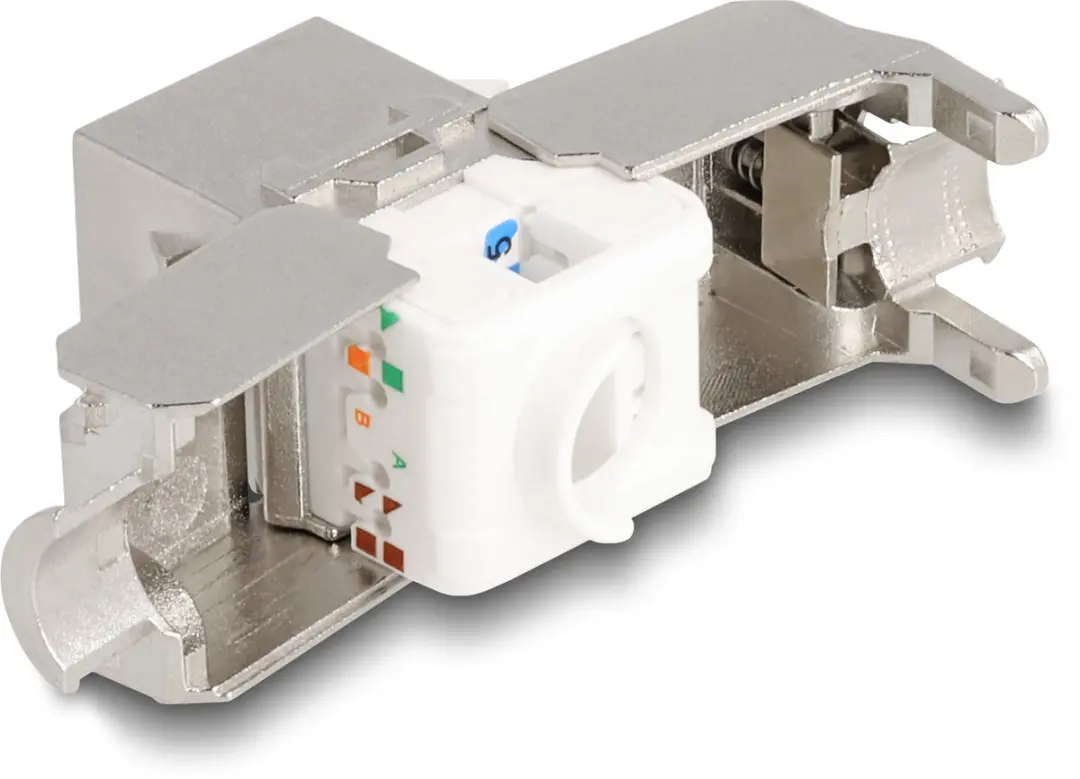 Delock Keystone Module RJ45 Cat.6A LSA - Zilver/Wit