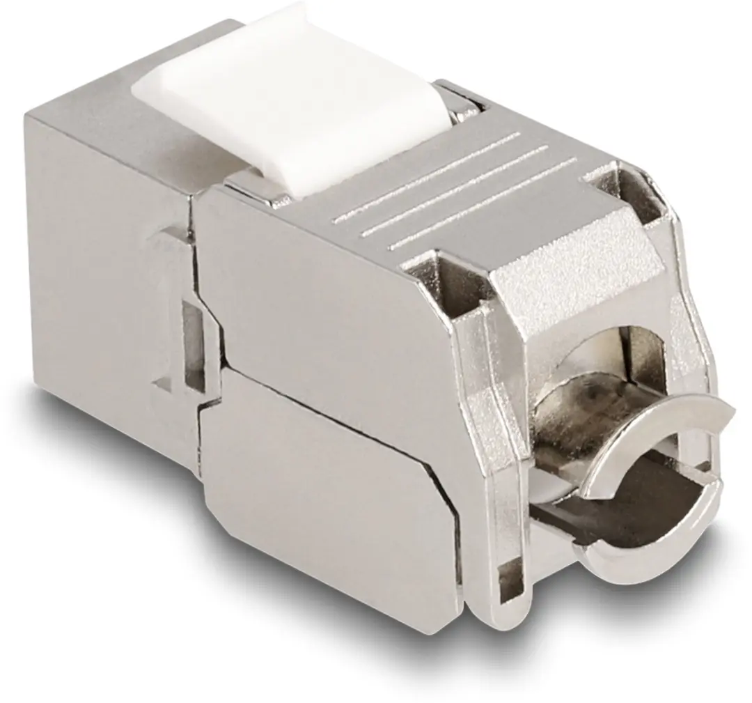 Delock Keystone Module RJ45 Cat.6A LSA - Zilver/Wit