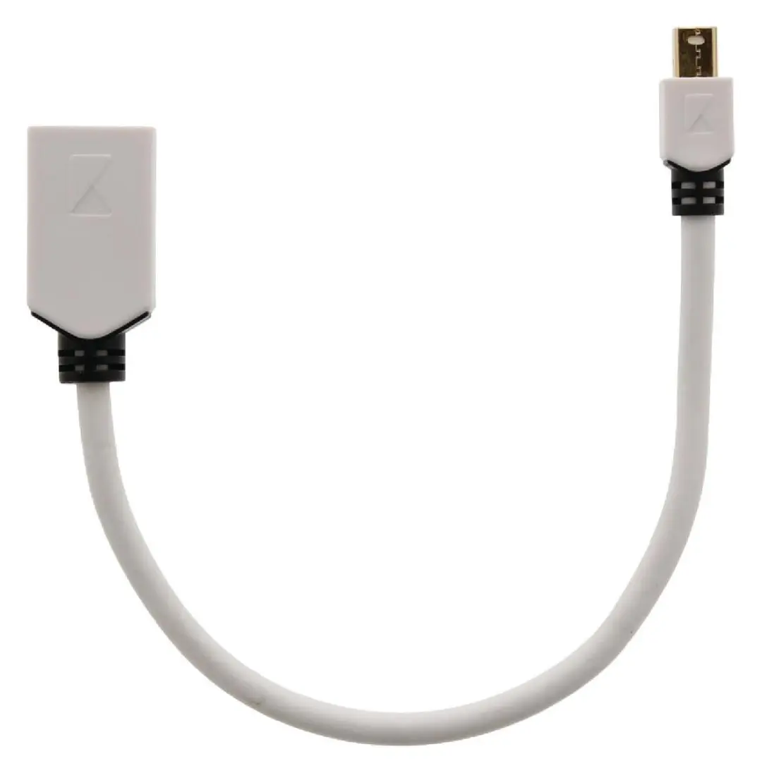 Konig Mini DisplayPort naar DisplayPort Adapter 0,20m