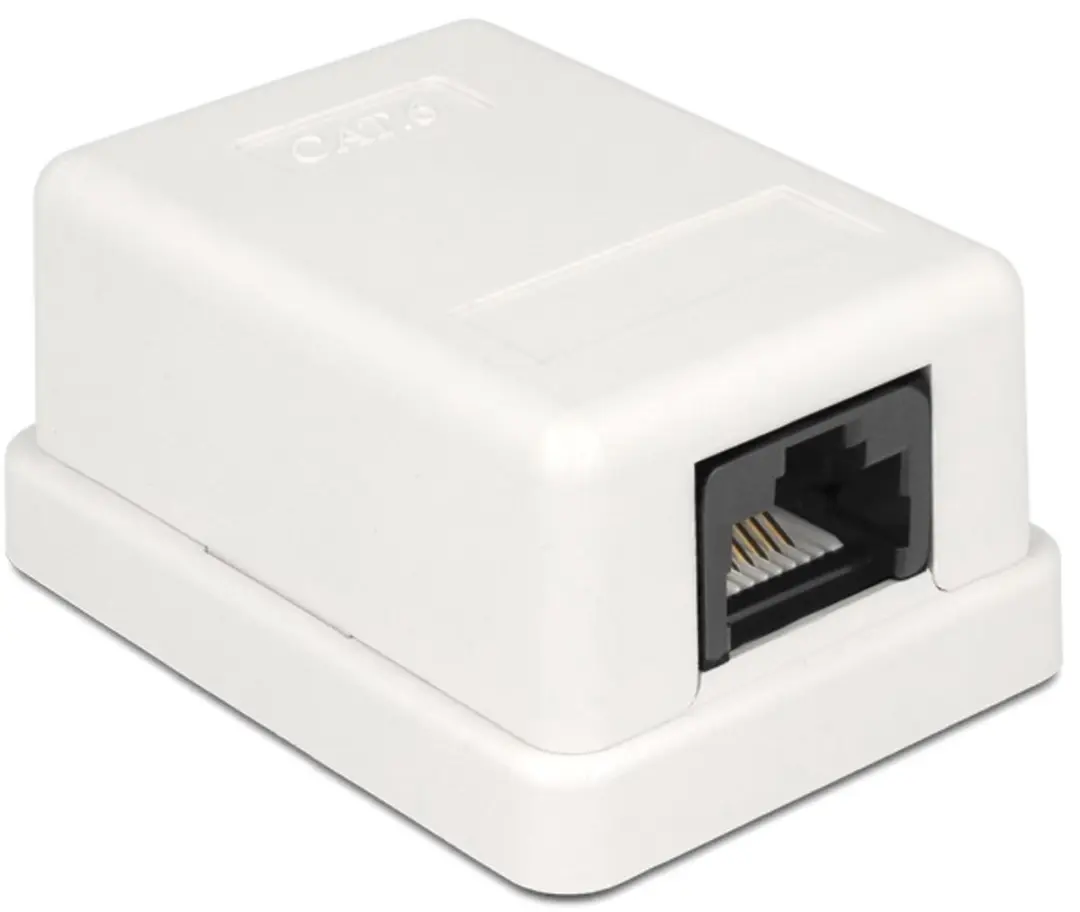 Delock CAT6 Netwerkuitvoerdoos 1x RJ45 - Wit