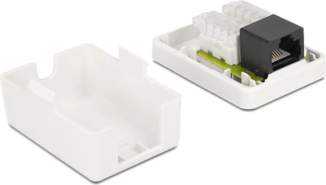 Delock CAT6 Netwerkuitvoerdoos 1x RJ45 - Wit