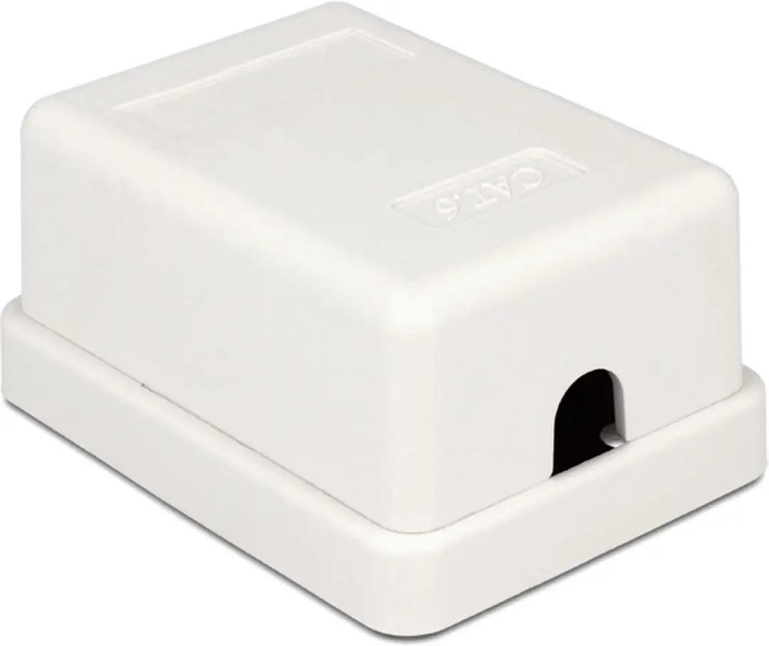 Delock CAT6 Netwerkuitvoerdoos 1x RJ45 - Wit