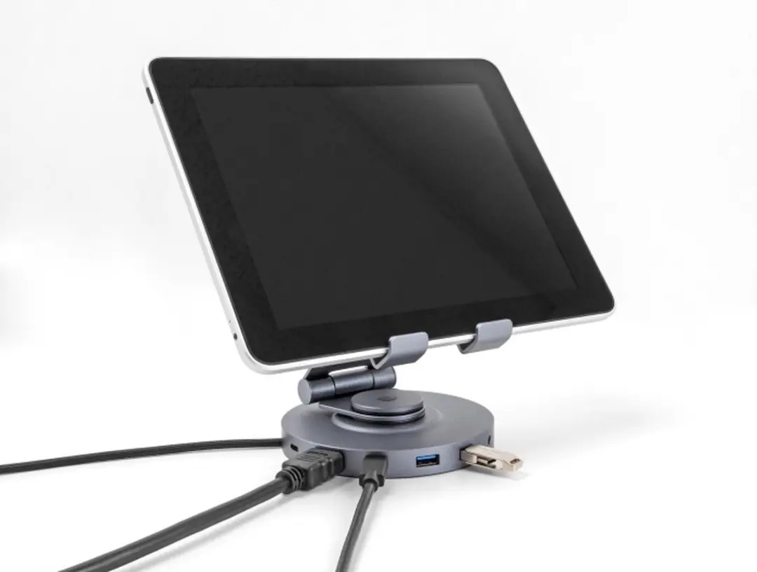 Delock 88017 Tablet & Laptop Docking Station 4K - Grijs