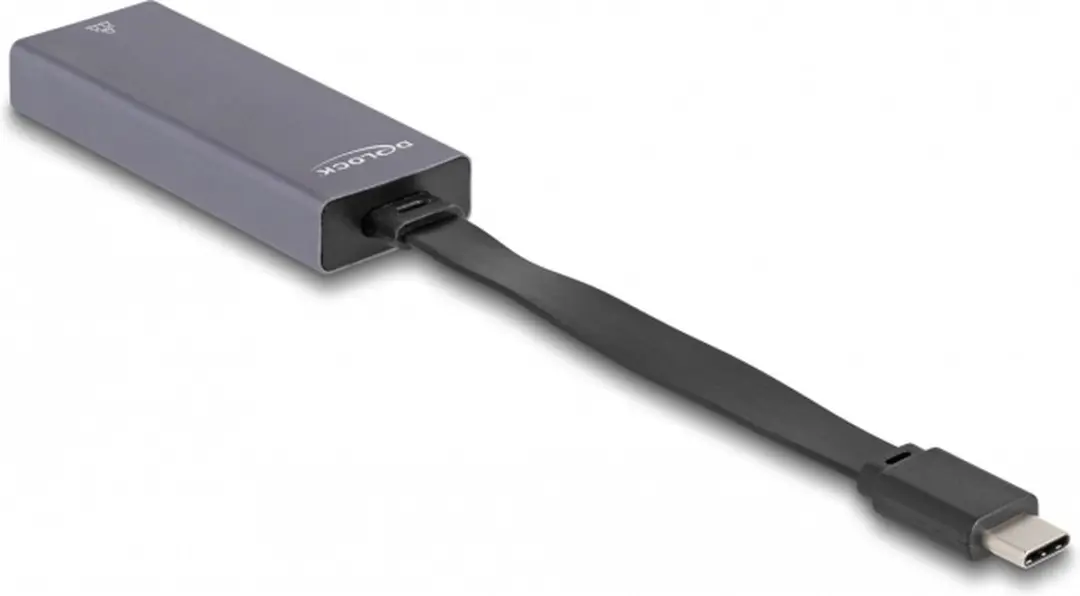 Delock USB-C naar 2.5Gbps LAN Adapter - Grijs