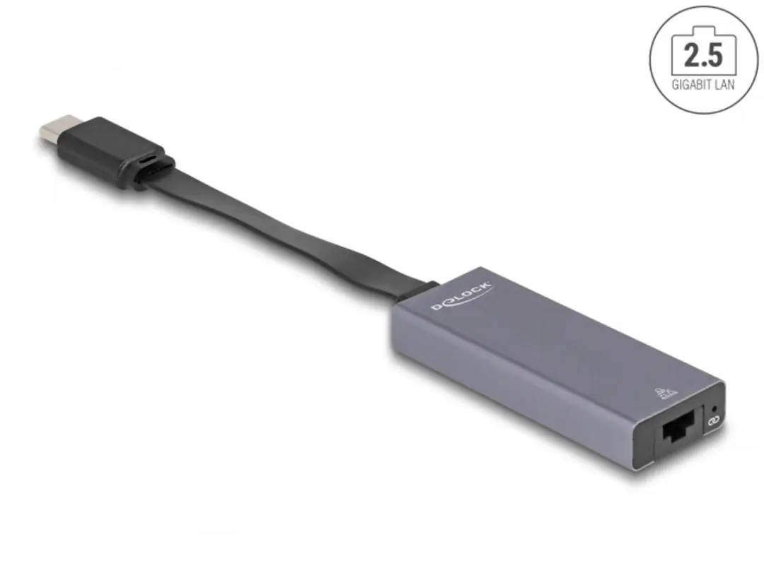 Delock USB-C naar 2.5Gbps LAN Adapter