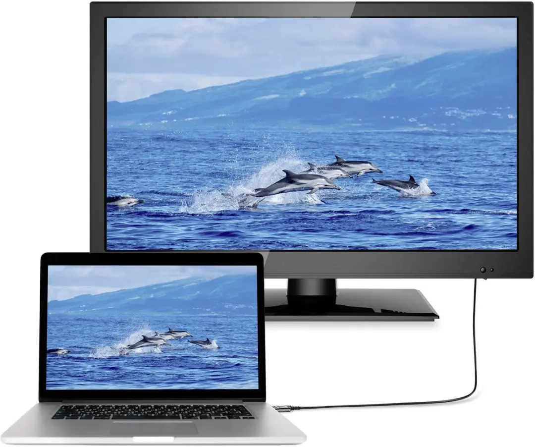 SpeaKa Professional SP-8821984 HDMI-kabel 10m - 8K Zwart